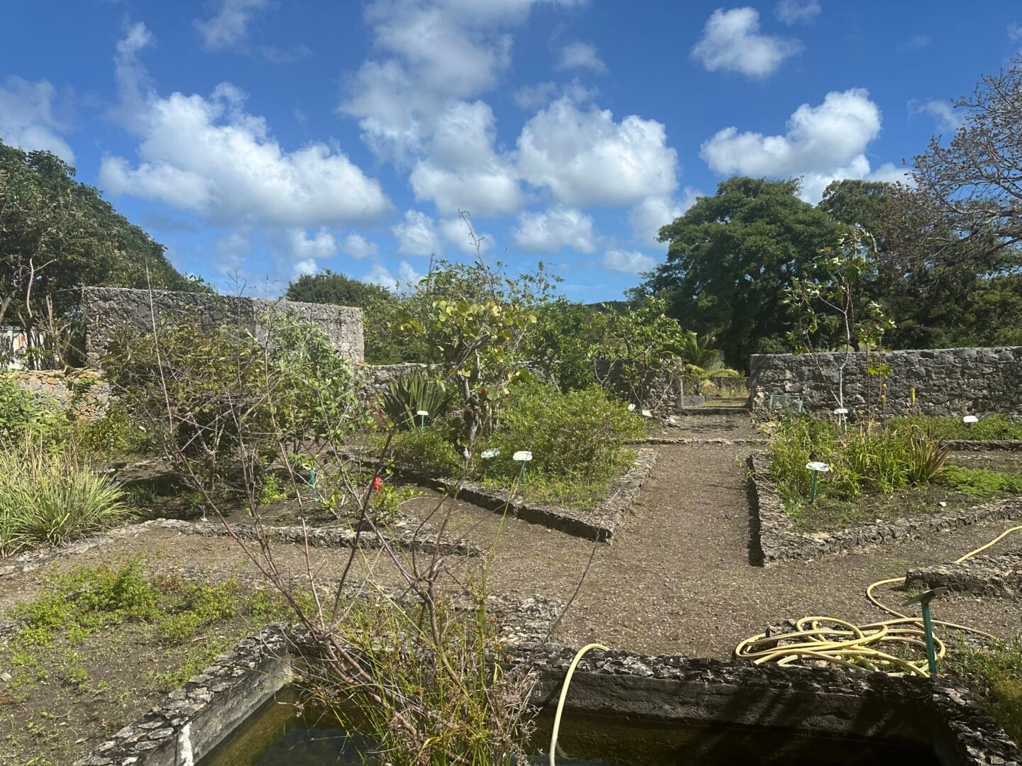 Une journée à Marie Galante en Guadeloupe